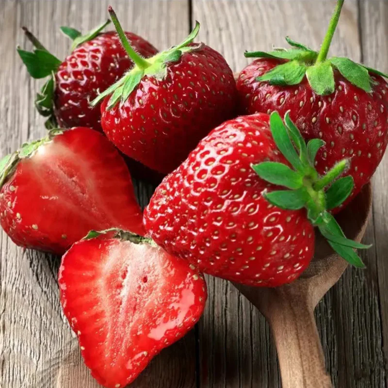 Strawberry Cream Seeds - Image 12