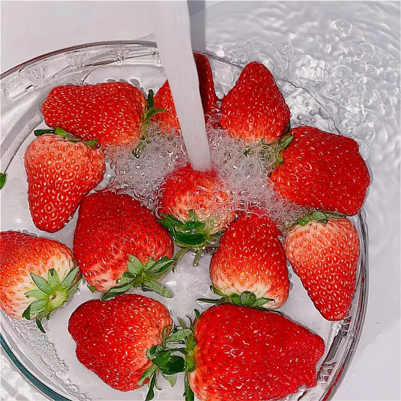 Strawberry Cream Seeds - Image 9