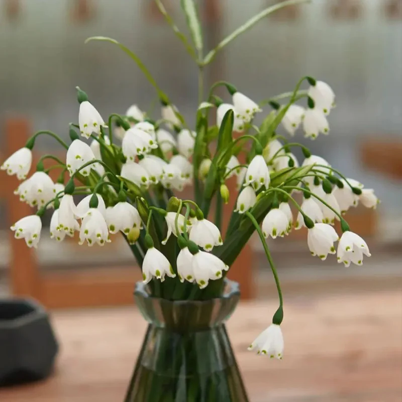 Summer Snowflake PureBeauty, Fresh Starts - Image 2