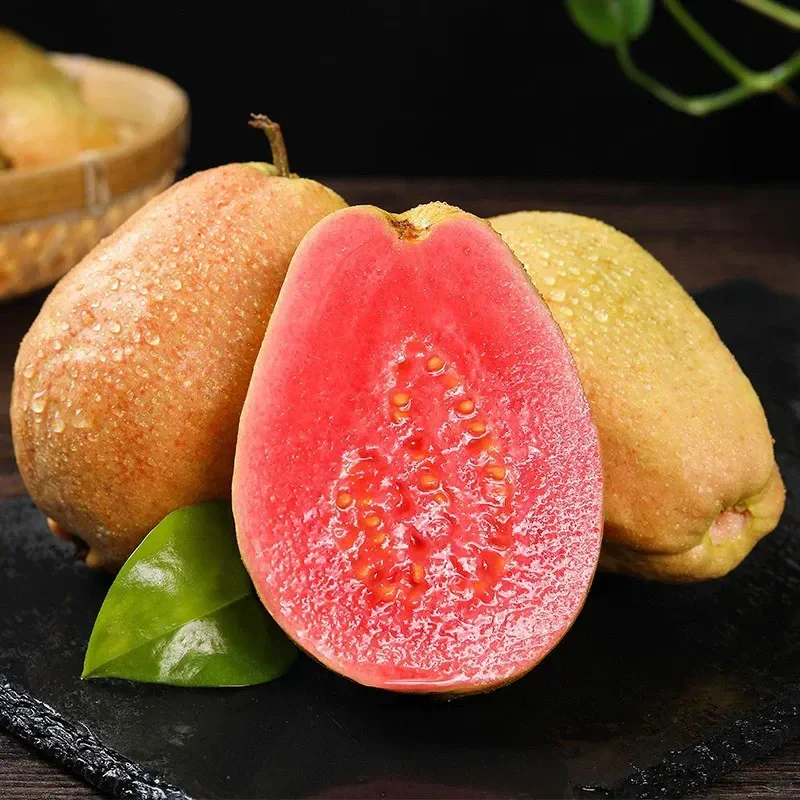 Tropical Strawberry Guava Organic Pink Guava Seeds - Image 5