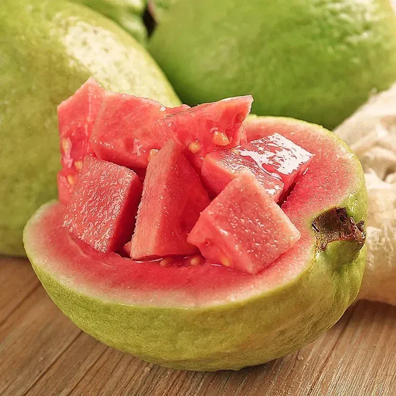 Tropical Strawberry Guava Organic Pink Guava Seeds - Image 6