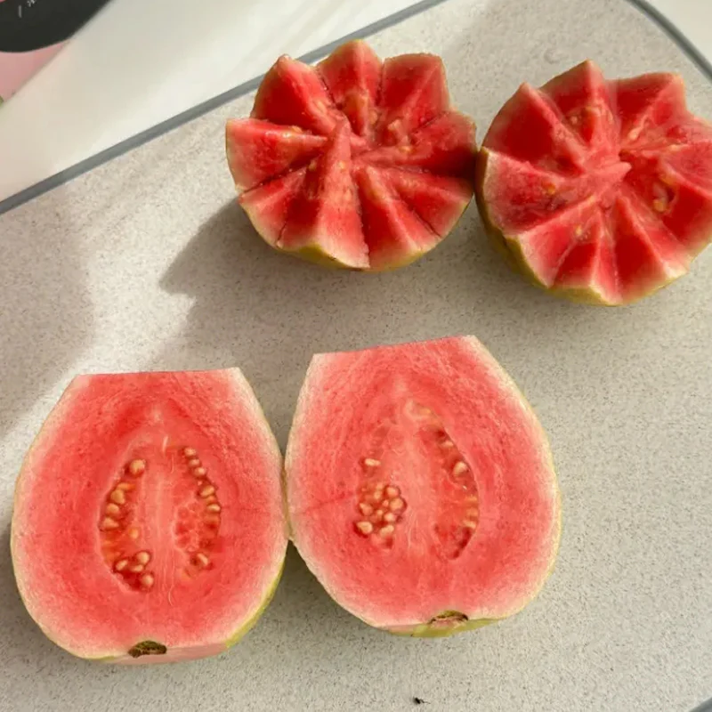 Tropical Strawberry Guava Organic Pink Guava Seeds - Image 7