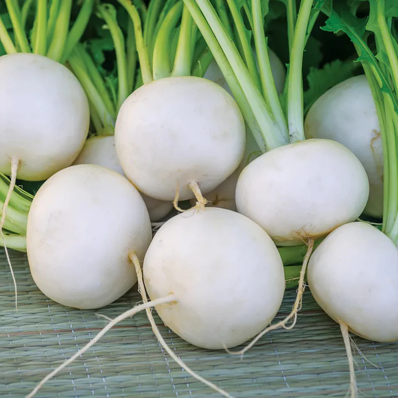 Turnip, Silky Sweet Hybrid - Image 2