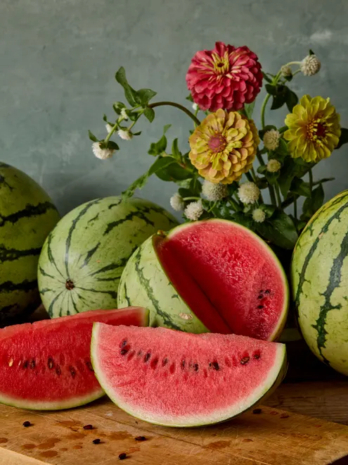 Watermelon, Mini-Me Hybrid - Image 4