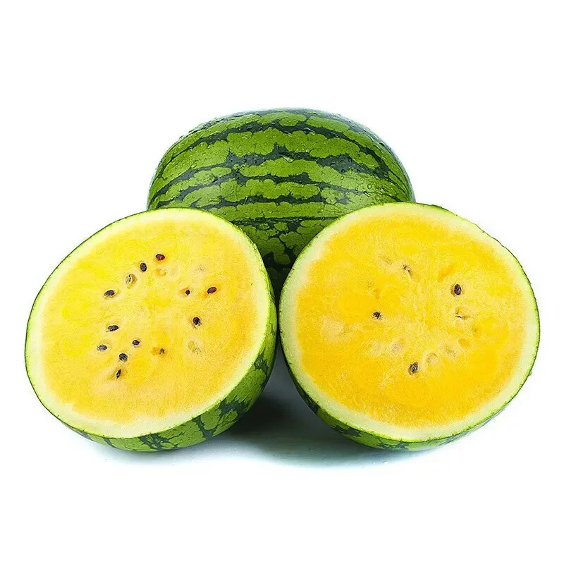 Watermelon Seeds - Yellow Petite - Image 3