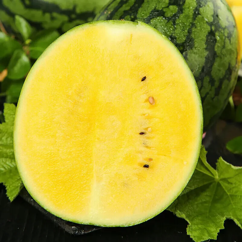 Watermelon Seeds - Yellow Petite - Image 7