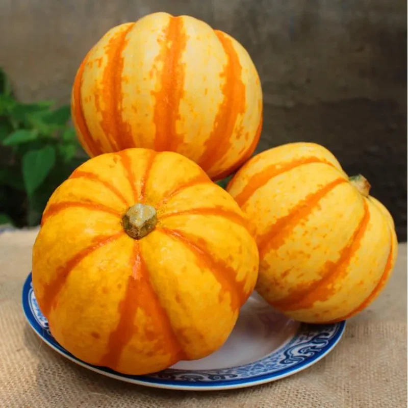 Yellow Beibei Pumpkin Sweet Glutinous BeiBei Mini Chestnut Pumpkin Seeds - Image 2