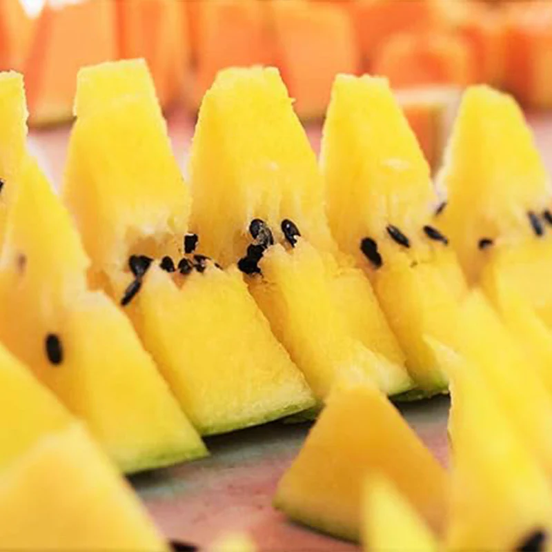 Yellow Crimson Watermelon Seeds - Image 5