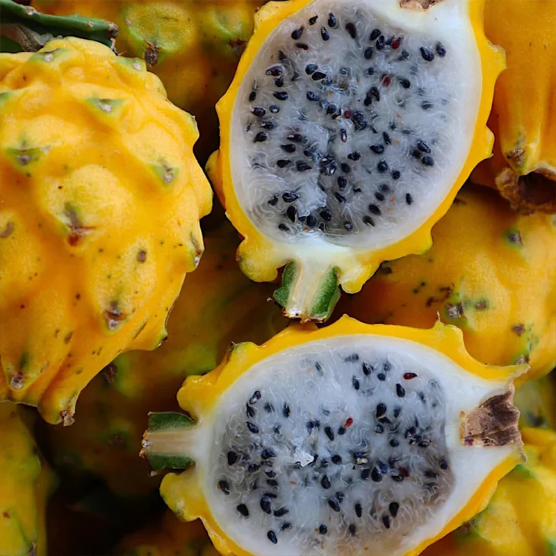 Yellow Dragon Fruit Seed Rare Color Pitaya Fruit Sweet Juicy Fruits Rich in Vitamin - Image 5